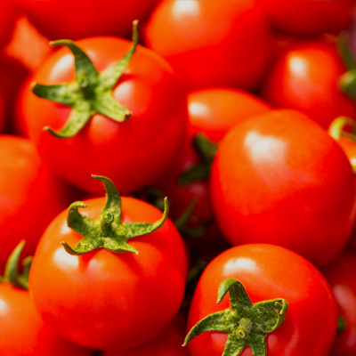 Commercial due diligence for the acquisition of a company specialized in tomato processing